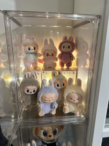 Transparent Acrylic  Display Box Container with One Separate Panel